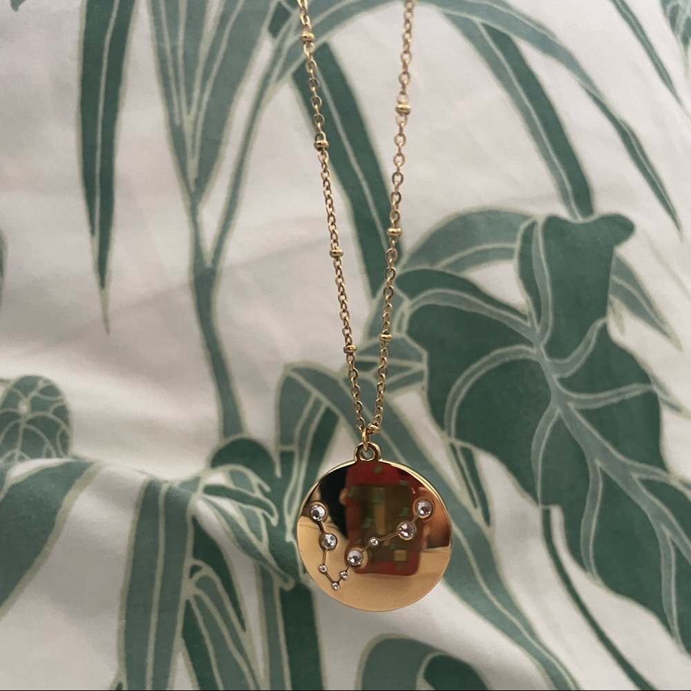 gold pisces astrology necklace